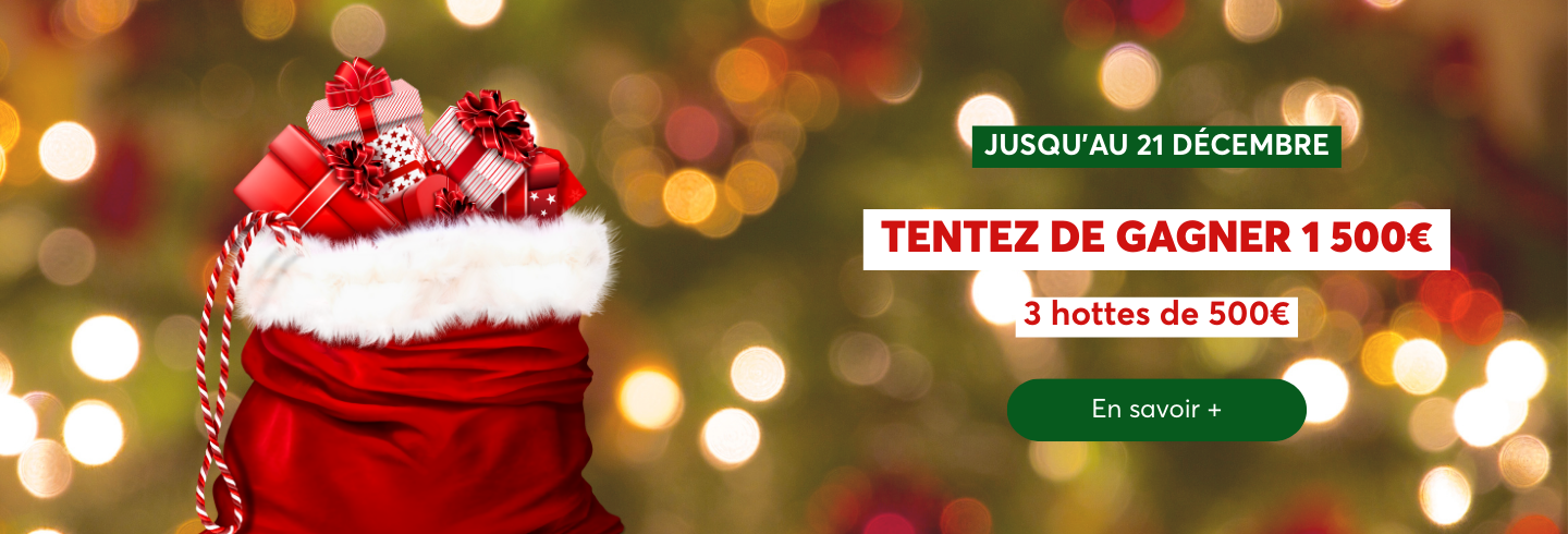 Hottes du Père Noël Bouliac